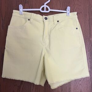 Carve Designs Oahu Shorts